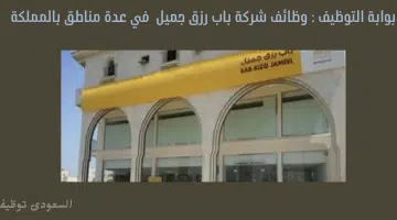 وظفنى الان 11 1