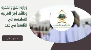 وظفنى الان 2