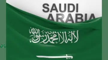 تصميم بدون عنوان 8 4