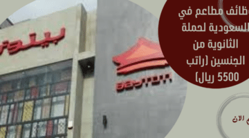 شركه أجيليتي 1