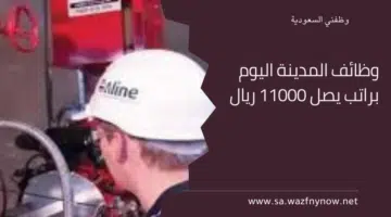 www.wazefnecv.com 10