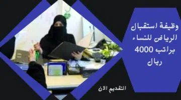 التقديم الان 4