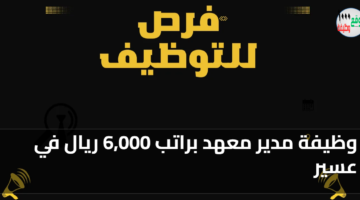 featured image 1771786999272